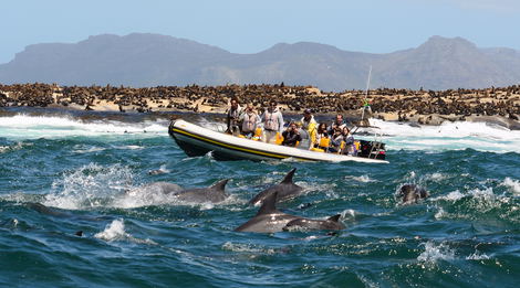 Seal Island Cruise