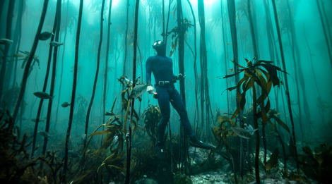 Snorkel For Science