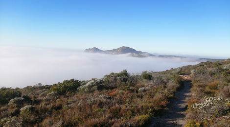 Cape Point Trail Run