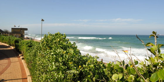 In the area