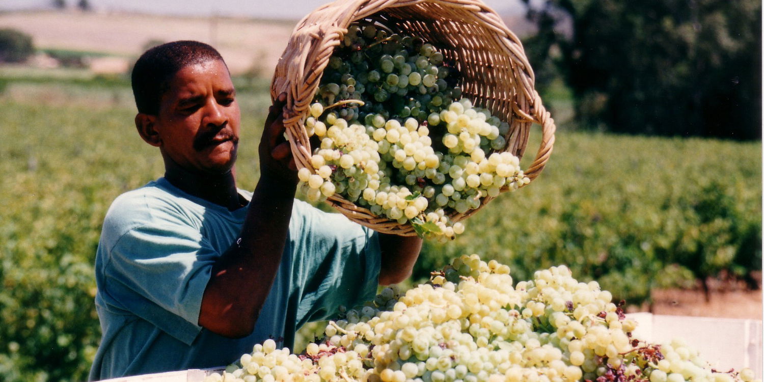 It's harvest time in Robertson.