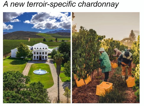 Weltevrede