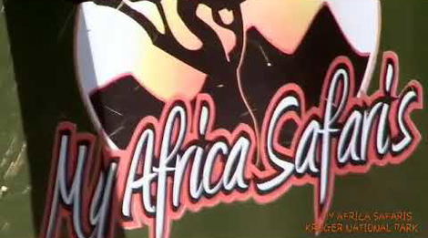 Our Safaris Our Safaris