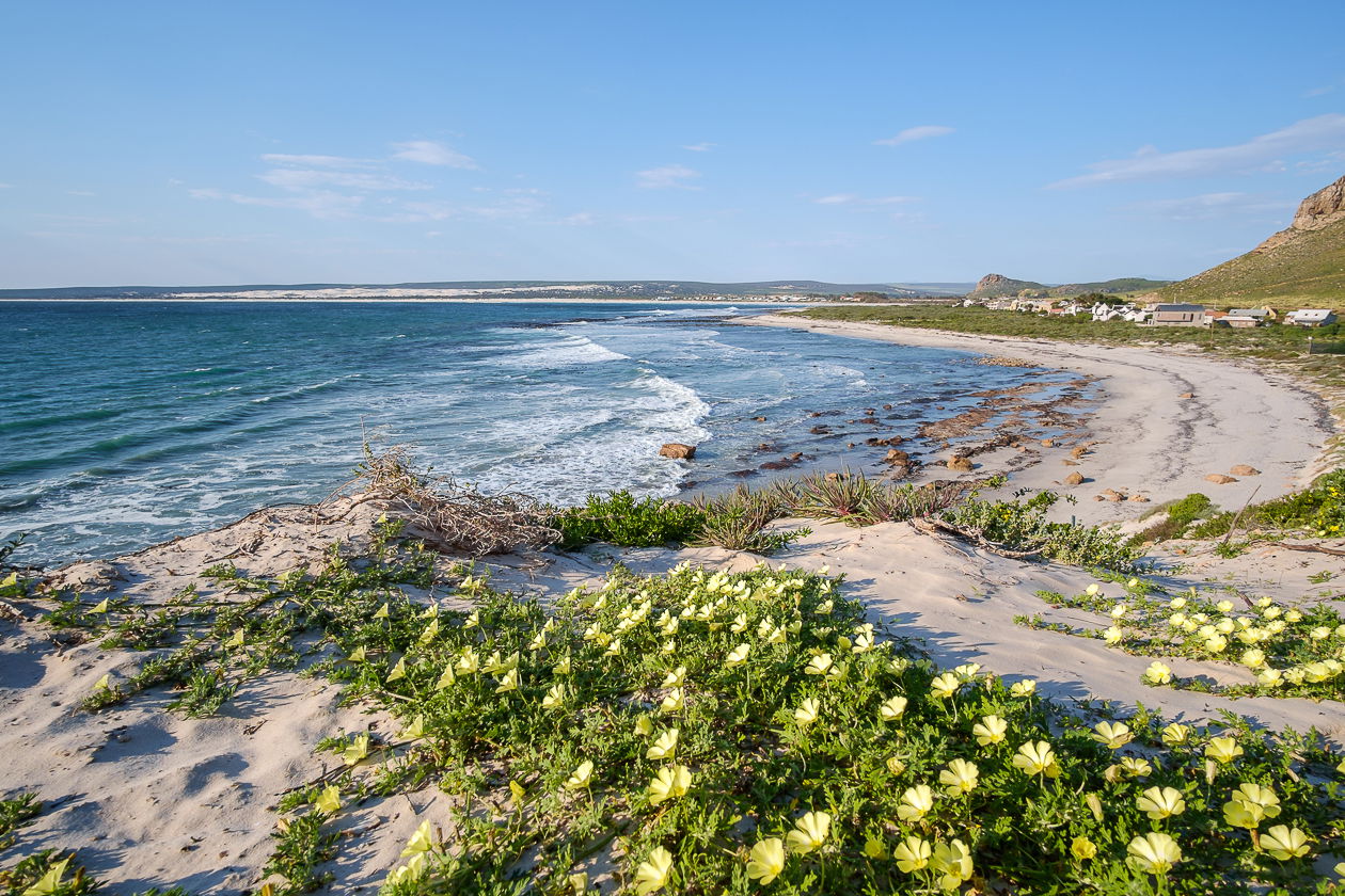 Welcome to Elands Bay