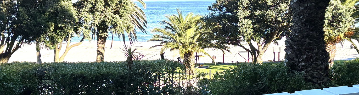 Patio view