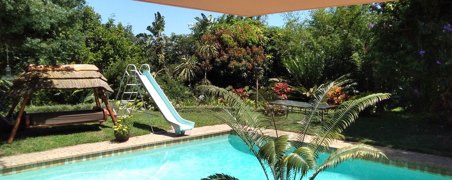 Our thatch swing chair and Children's slide.