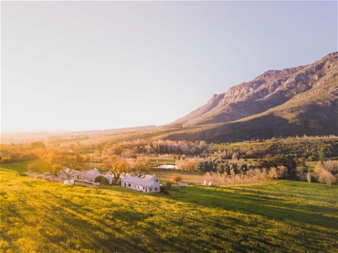 Holidays on a working wine farm in Stellenbosch