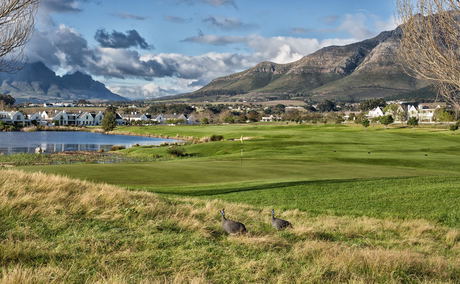 De Zalze Golf Course Stellenbosch De Zalze Golf Course Stellenbosch