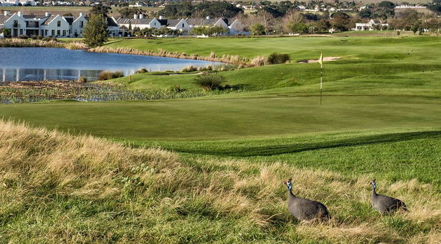De Zalze Golf Course Stellenbosch De Zalze Golf Course Stellenbosch