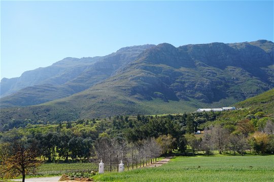 Mont Angelis view on Stellenbosch Mountain from terrace accommodation