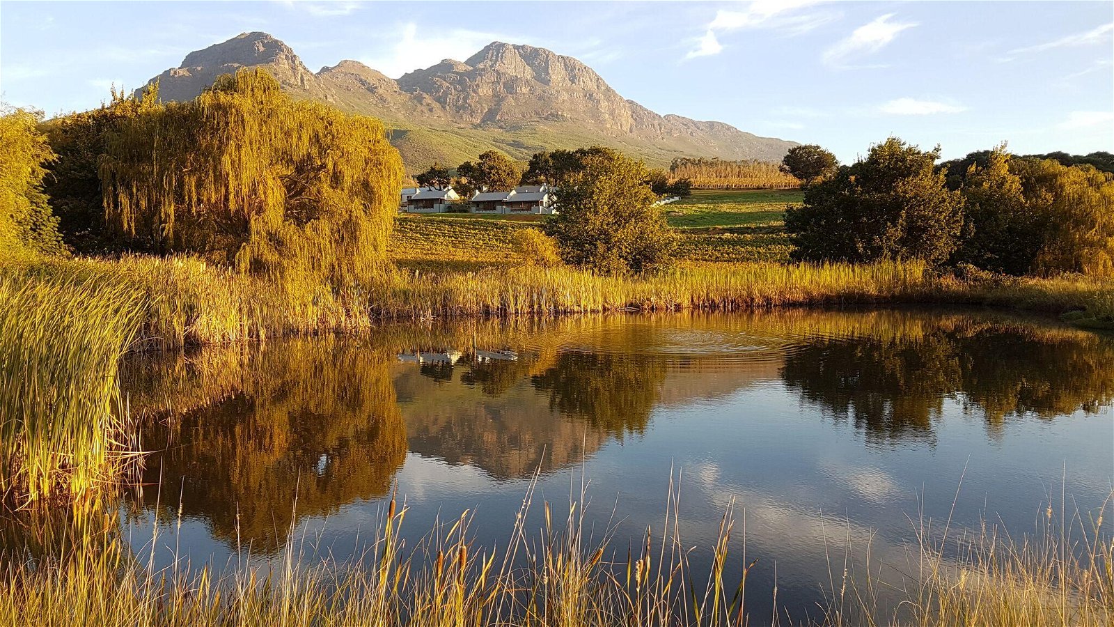 Mont Angelis cottages at the foot of Helderberg Mountains Stellenbosch luxury self catering accommodation