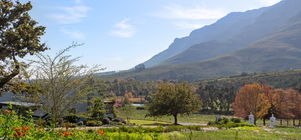 Mont Angelis Winter Special