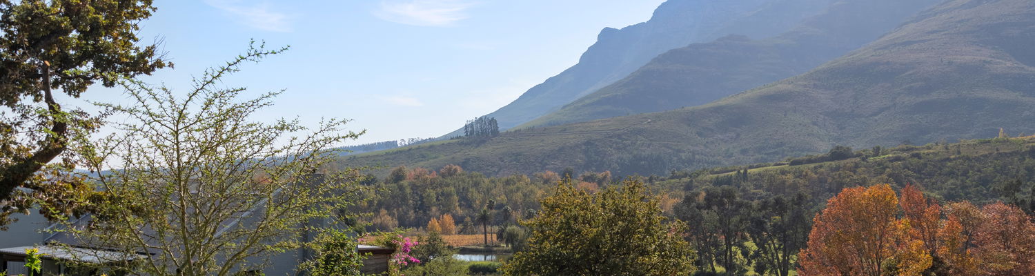 Mont Angelis Summer of 2026