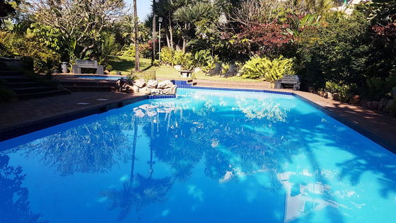 Communal pool and garden