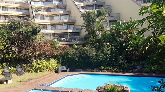 Communal pool and garden