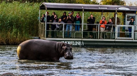 Boat tours