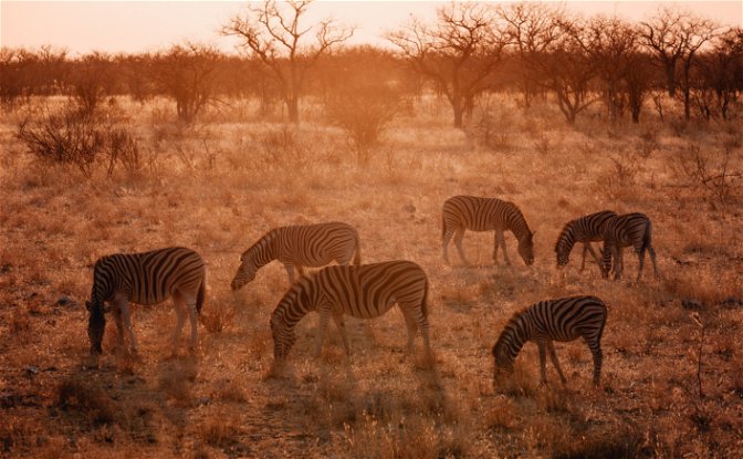 Namibia