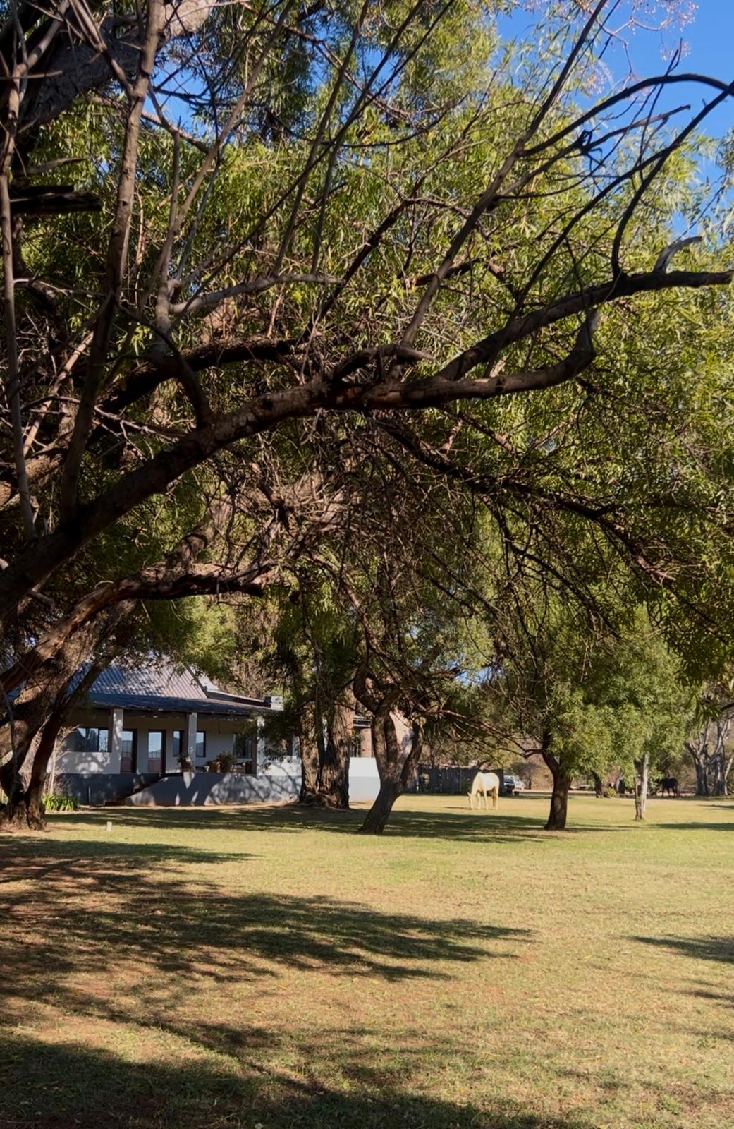 Farm stay Bela BEla