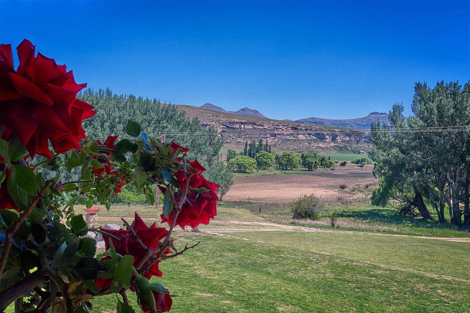 linwoodfarm.co.za-clarens-accommodation-linwwod-guest-farm-view-from-the-stoep