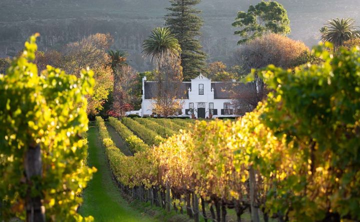 Constantia Wine Route