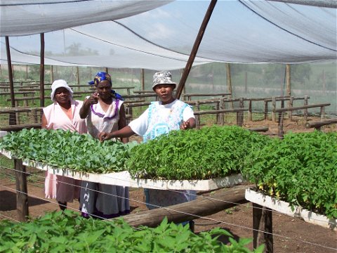 Rural Farmers Upliftment Projects 