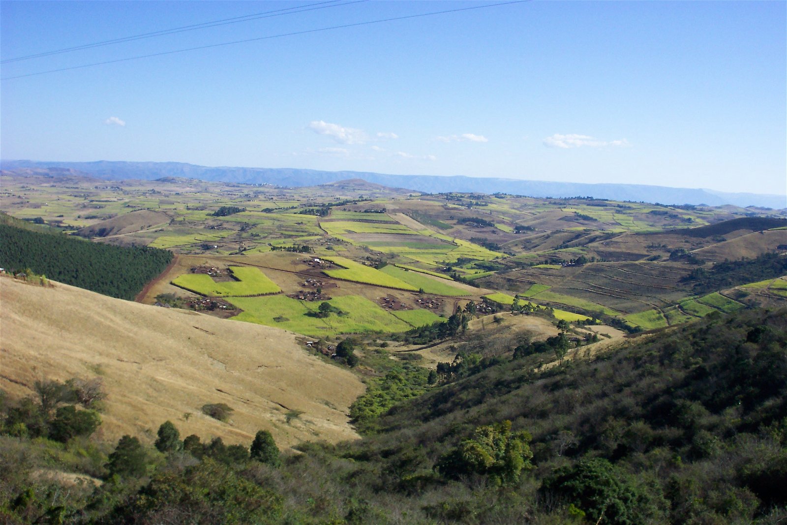 Subsistence Farming in Zululand. Rural Farming. Eshowe. 