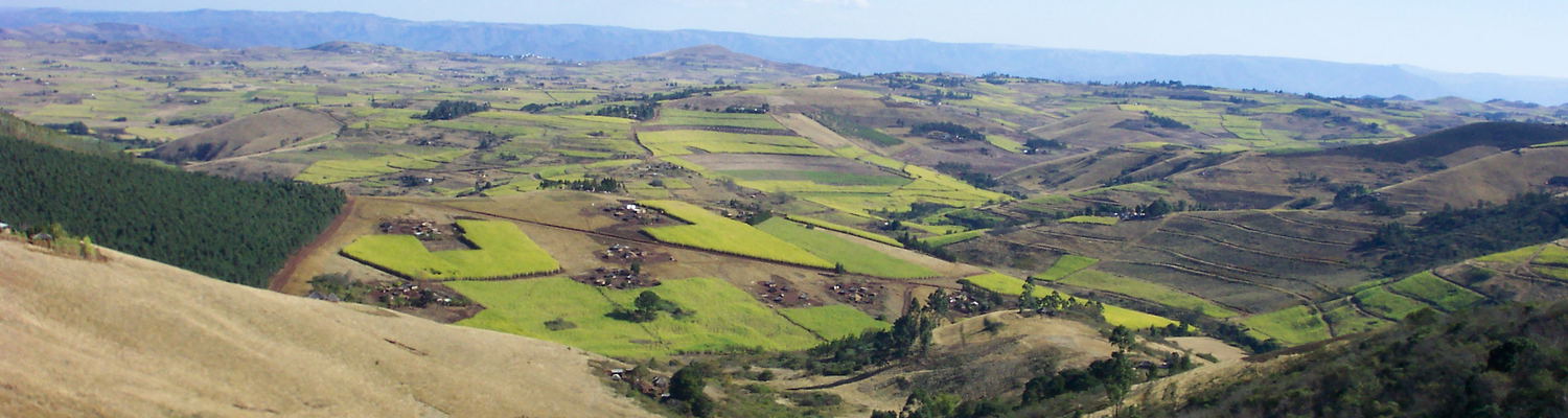 Subsistence Farming in Zululand. Rural Farming. Eshowe.