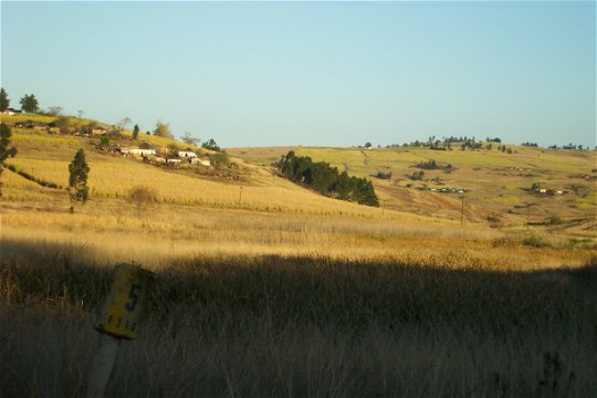 Farming in Zululand Eshowe