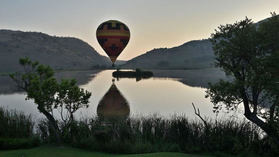 Balloon Rides