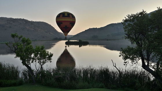 Balloon Rides