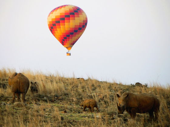Hot air balloon