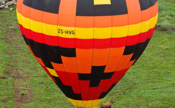 EXCLUSIVE SAFARI FLIGHT FOR TWO