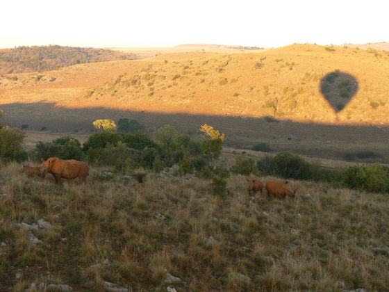 hot air balloon safari