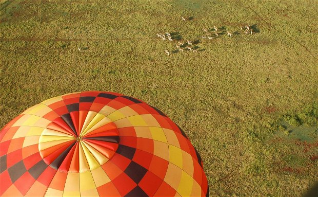 Balloon Rides