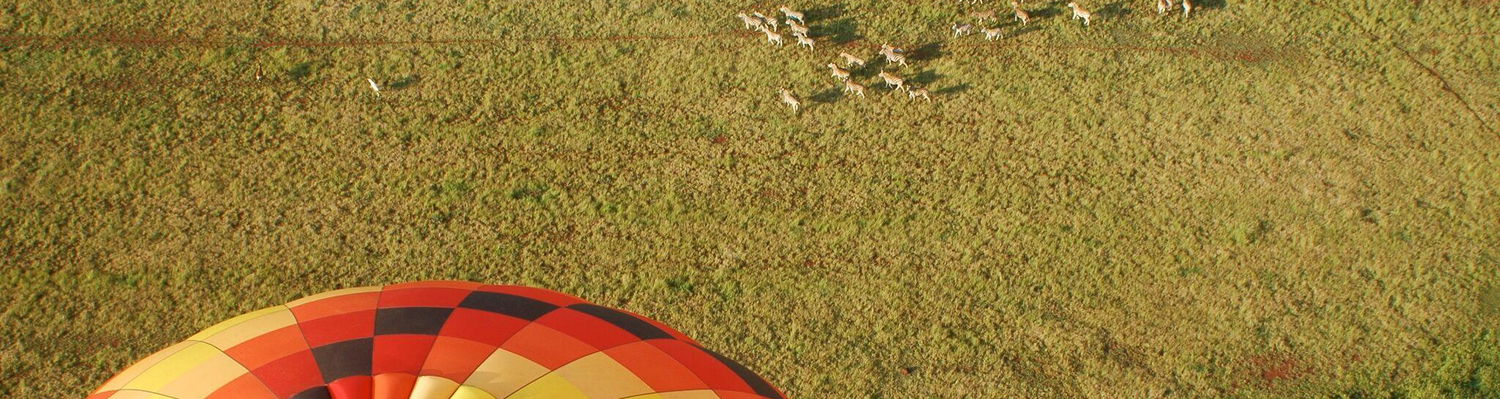 Balloon Rides