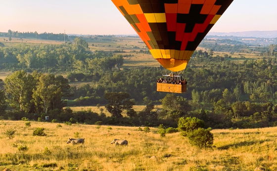 SAFARI FLIGHT