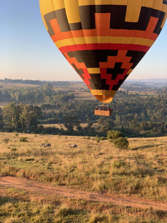 Balloon rides