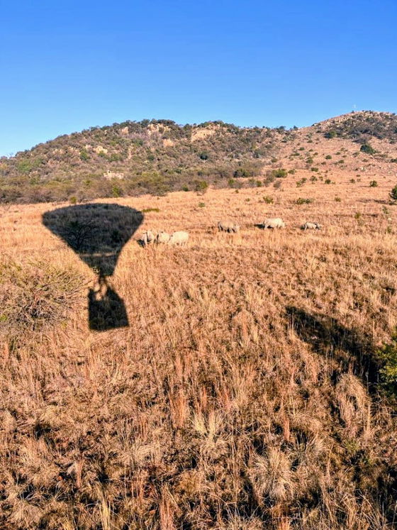 air balloon safaris