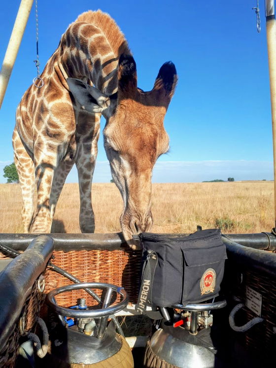 air balloon safaris