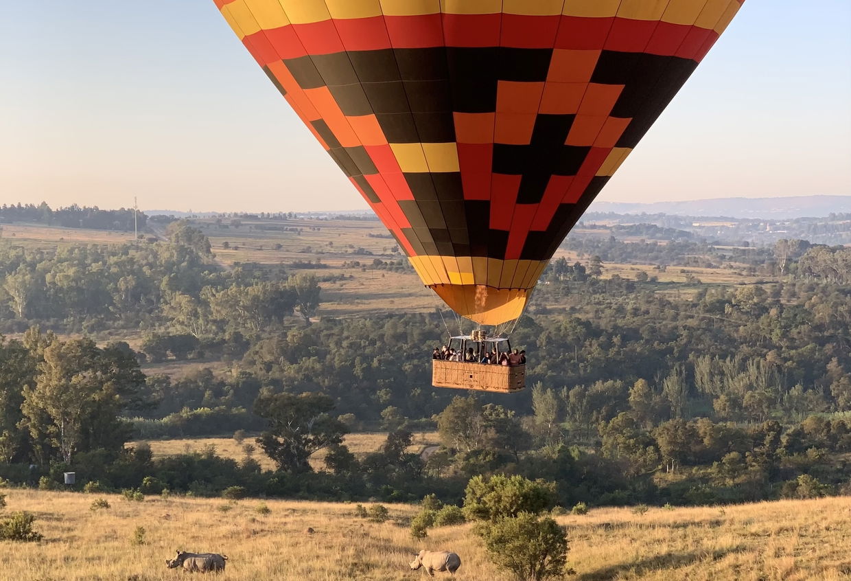 Hot air balloon floating over rhino.