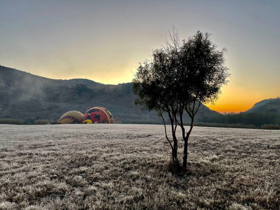 Hot air balloon