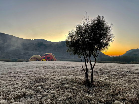 Hot air balloon