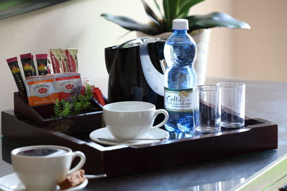Best Karoo accommodation with tea and coffee in each bedroom at Celtis Country Lodge in Middelburg, EC