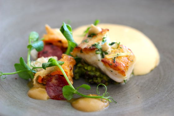 foodies stellenbosch what to do