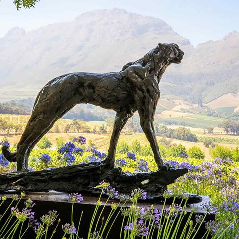 Delaire Graff Estate