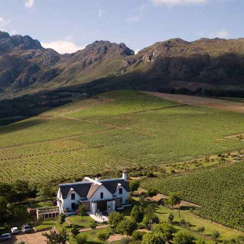 Oldenburg Vineyard