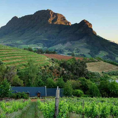 Bartinney Wine Estate