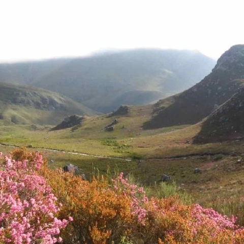 Hottentots Holland