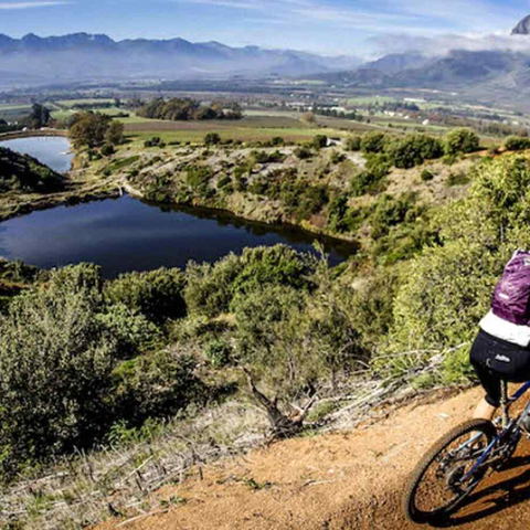 Boschendal