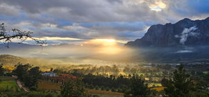 Winter in the Winelands